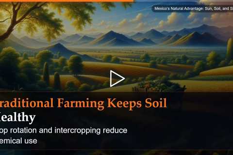 Mexico's Natural Advantage: Sun, Soil, and Simplicity