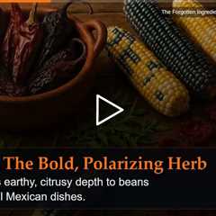 The Forgotten Ingredients That Built Mexican Cuisine